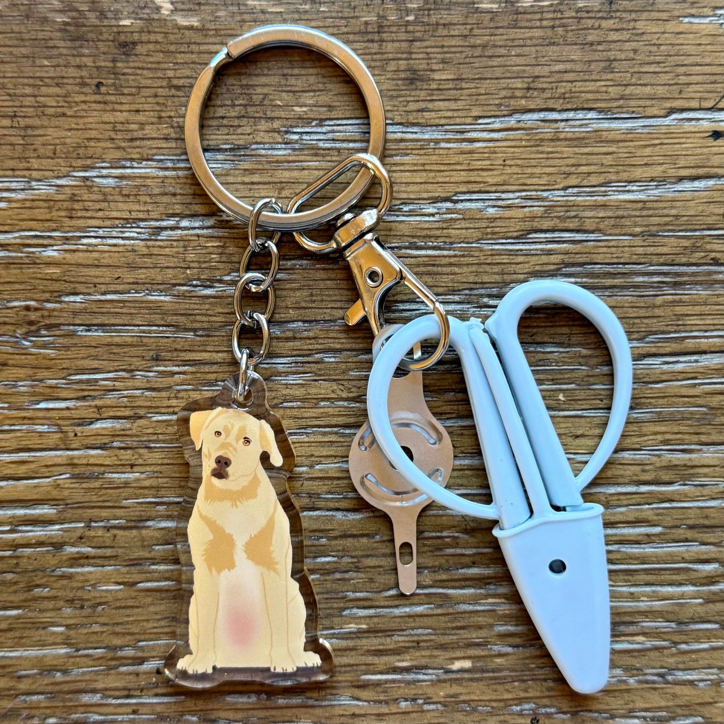 Yellow Lab Labrador Retriever Notion Keychain