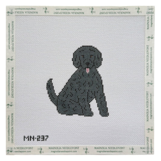 Black Doodle / Poodle