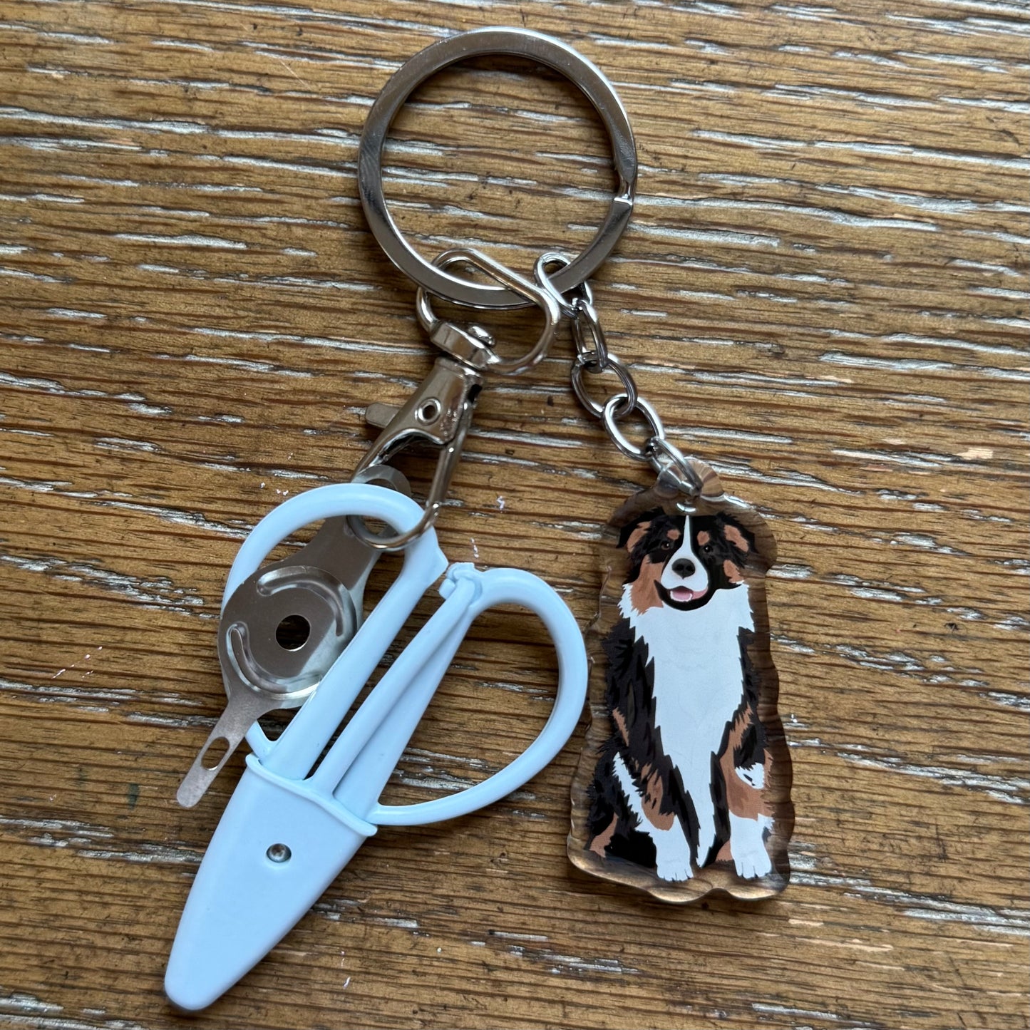 Australian Shepherd Black Tri Color Notion Keychain