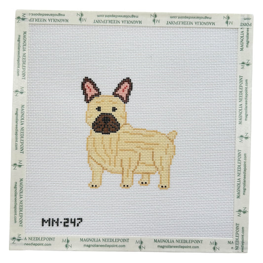 Fawn Tan Frenchie
