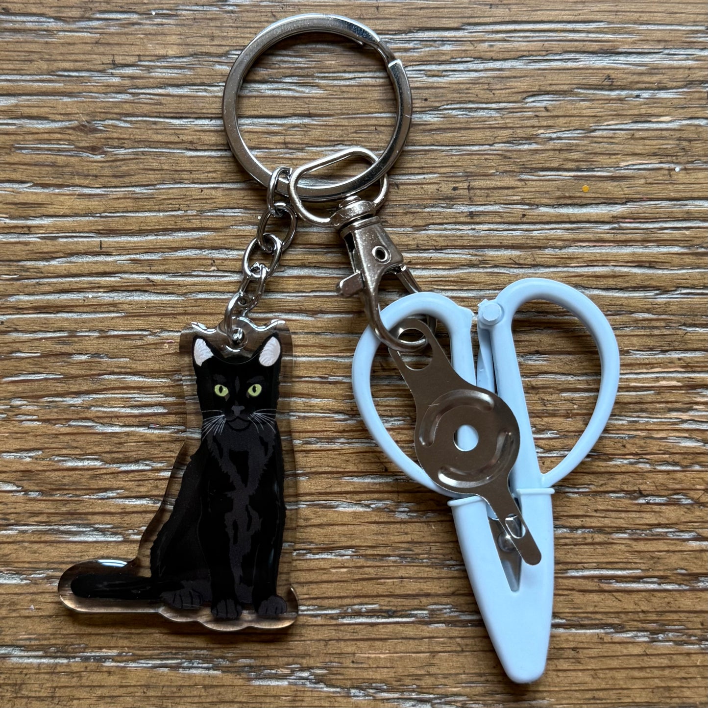 Black Cat Notion Keychain