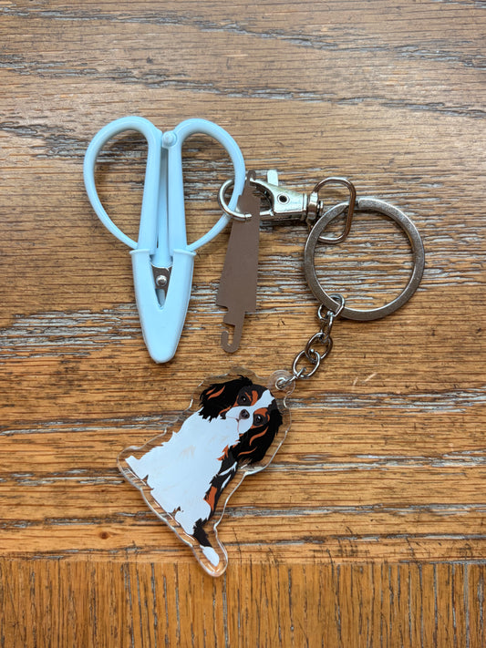 Black & Brown Cavalier King Charles Spaniel Notion Keychain