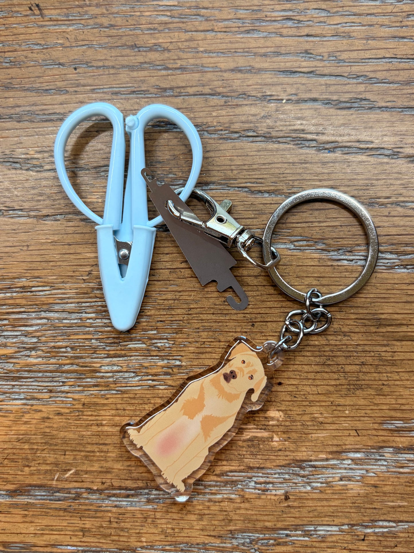 Yellow Lab Labrador Retriever Notion Keychain